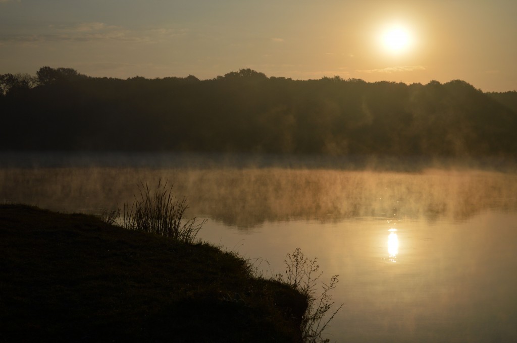 осеннее утро на озере